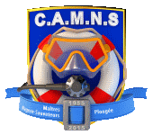 logo_60ans_site.gif